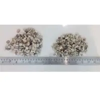 Mixed Gravel